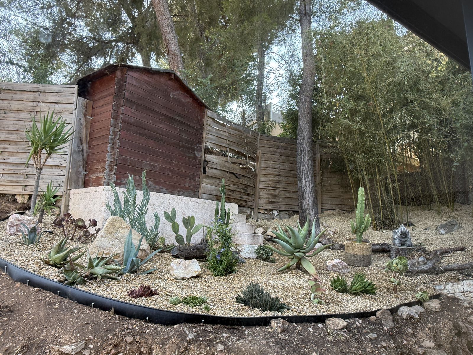Création d’un espace méditerranéen sur une restanque à Bandol